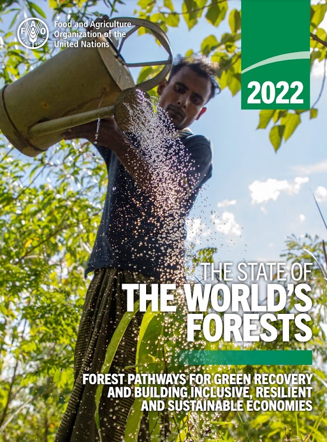 Dünya Ormanlarının Durumu (SOFO) 2022