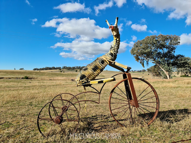 A sculpture of a giraffe on a bicycle in Cumnock