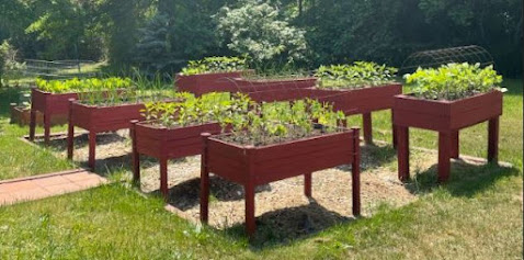 a beautiful garden area created with elevated garden beds