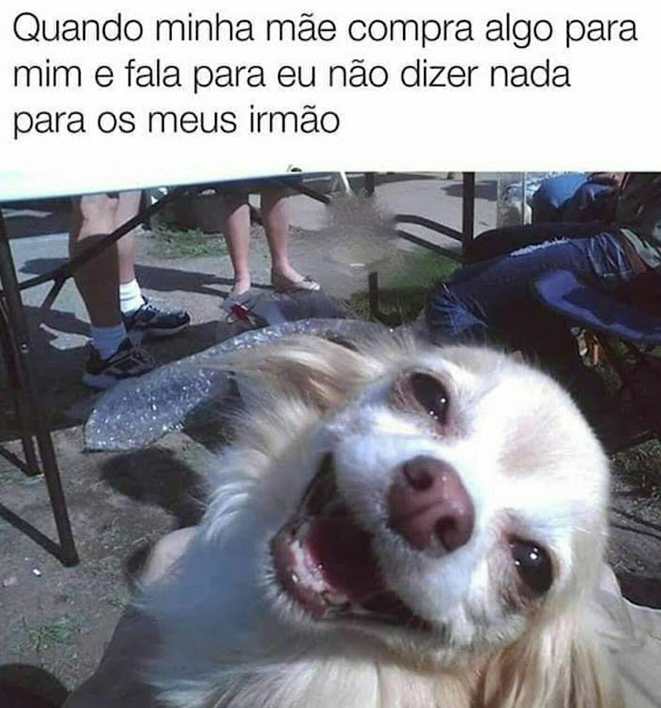 Memes engraçados