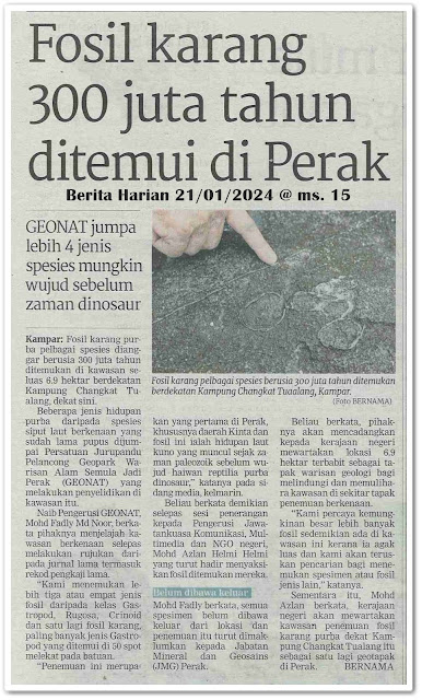 Fosil karang 300 juta tahun ditemui di Perak | Keratan akhbar Berita Harian 21 Januari 2024