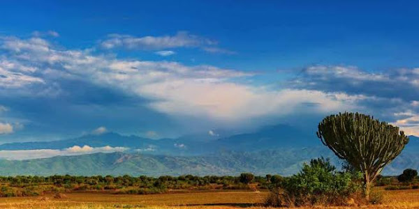 Explore the Beauty of Uganda: Top 3 Must-Visit Vacation Spots