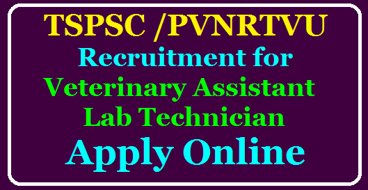 TSPSC/PVNRTVU Recruitment for Veterinary Assistant and Lab Technician Apply Online @tspsc.gov.in /2020/07/TSPSC-PVNRTVU-Recruitment-for-Veterinary-Assistant-and-Lab-Technician-Apply-Online-tspsc.gov.in.html