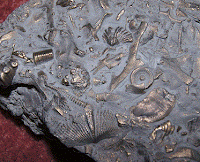 fossil hash