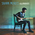 Shawn Mendes – Illuminate (Deluxe) (US Version) - Album [iTunes Plus AAC M4A]