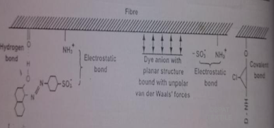van der Waals forces