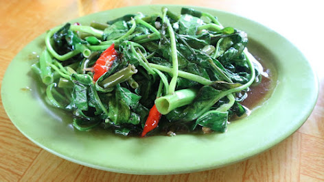 cah kangkung