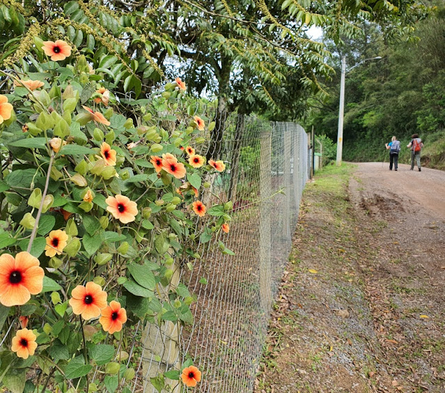 Caminhos de Caravaggio