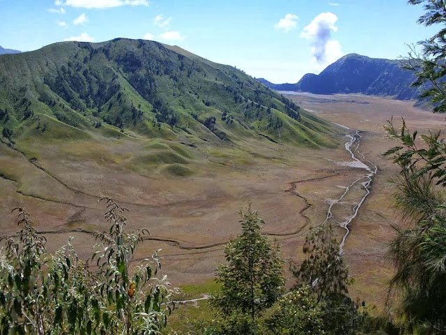 savana, bromo