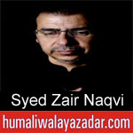https://humaliwalaazadar.blogspot.com/2019/09/syed-zair-naqvi-nohay-2020.html