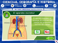 http://recursostic.educacion.es/primaria/alquimia/web/b/00/animaciones/a_fb05_04.html