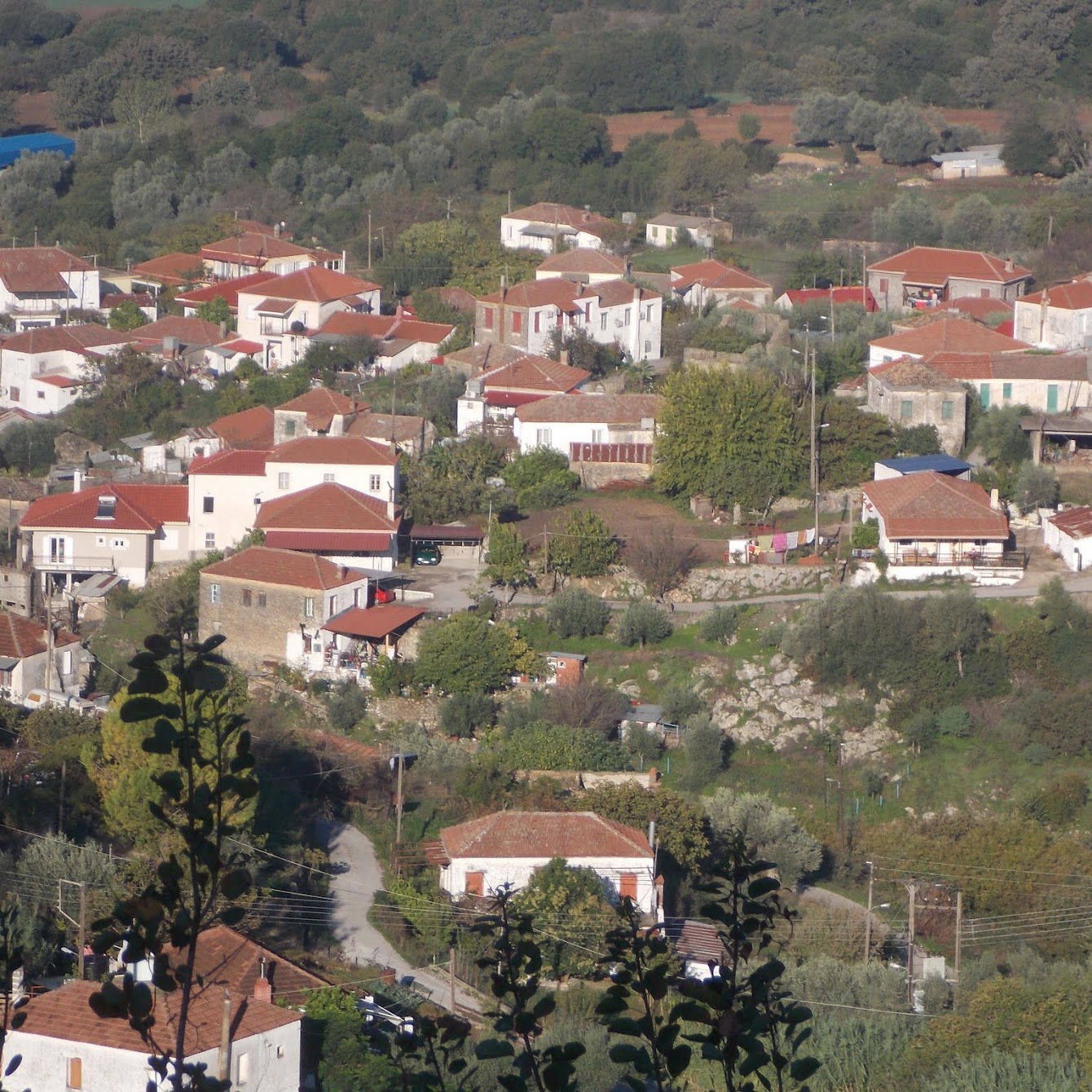 Θύμησες από τη Σκουρτού Ξηρομέρου