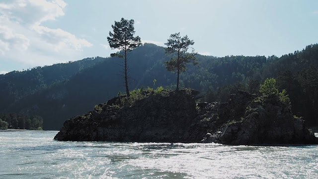 Россия, Алтай - река Катунь, остров