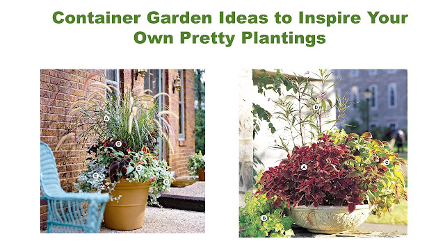 Container Garden Ideas to Inspire Your Own Pretty Plantings