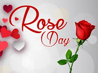 rose day wallpaper, make your feast day unique with this beautiful rose day wallpaper
