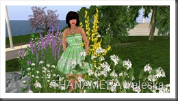 Snapshot_003