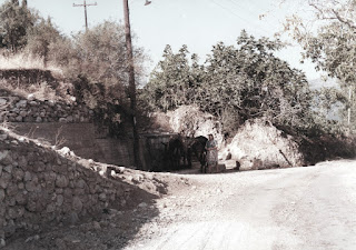 Βρύση Γούπατα, 1980