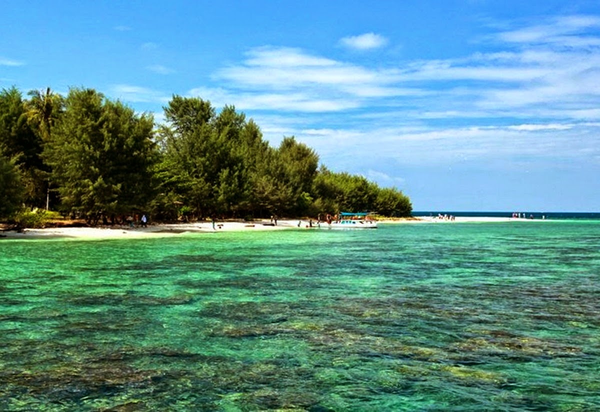 Apa itu Ekosistem Hutan Pantai