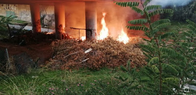 Φωτιά στο χώρο συλλογής πράσινου στην γέφυρα της Αγίας Τριάδος