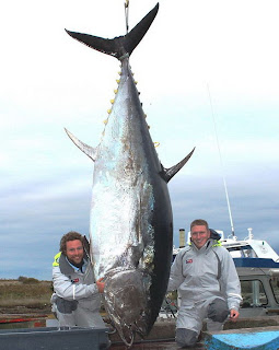 450 кг тунца