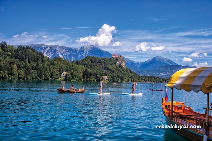 Bled Şifacısı Arnold Rikli