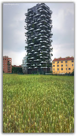 Milano - Il bosco verticale
