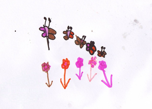 butrterfly garden