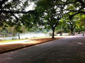 Parque Ibirapuera - Pista de caminhada e ciclofaixa
