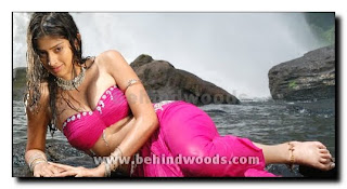 http://sexyactresspark.blogspot.com,sexy actress pictures,lekshmi rai