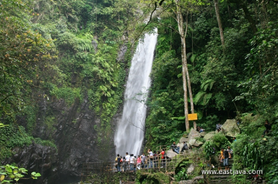 Wisata Air Terjun Kakek Bodo- Pasuruan Jawa Timur