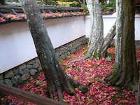 土蔵屋根に積もった美しい散りもみじ