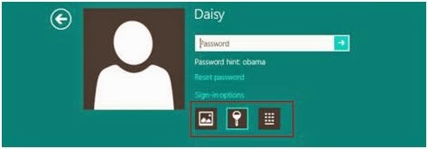 reset windows 8 password by pin