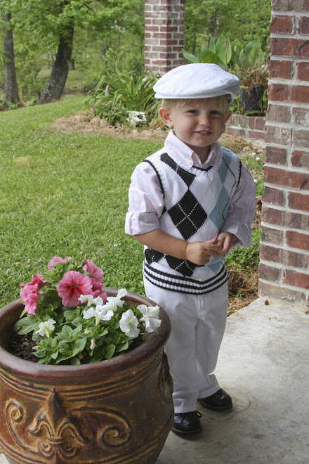 Hayden