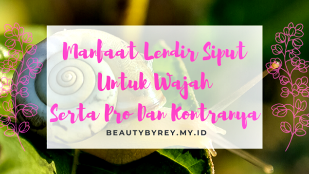 Manfaat Lendir Siput Untuk Wajah Serta Pro Dan Kontranya