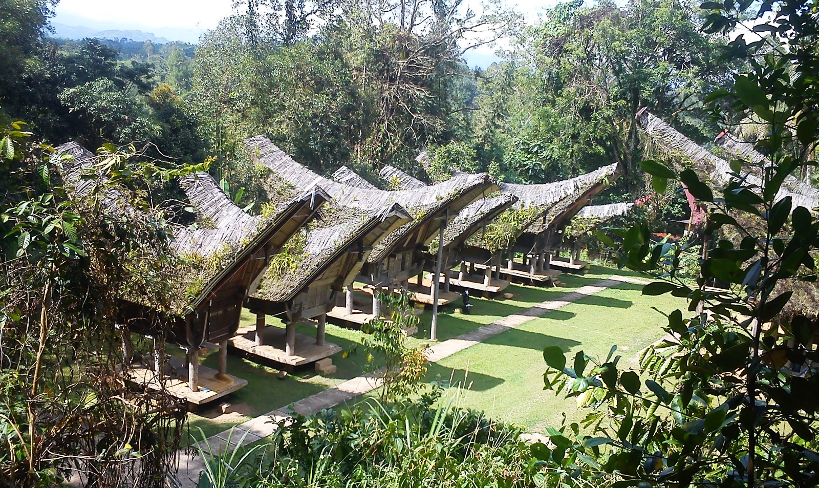 sodventure Tana Toraja Wisata Budaya Unik Pemandangan  
