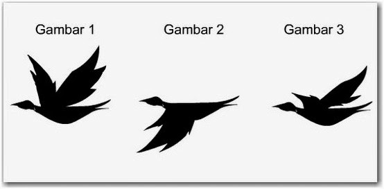 Flash Cara Membuat Animasi  Burung  Terbang 