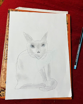 Simple Cat Drawing