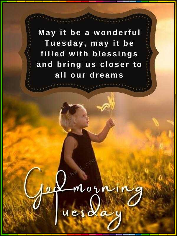 good morning everyone happy tuesday
