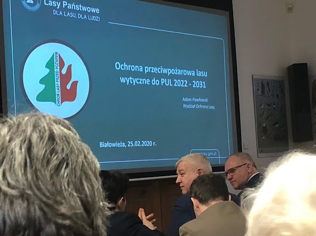 Czy w Puszczy znowu usłyszymy piły?