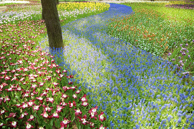 Hitachi Seaside Park