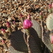 View album