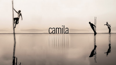 Camila Discografia 2006-2016