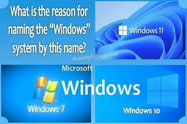 What do you mean by Microsoft Windows name its type?