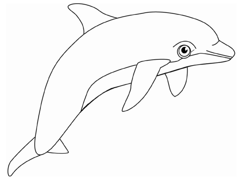 Halaman belajar mewarnai gambar  lumba  lumba  untuk anak