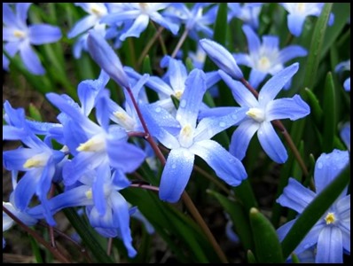 Glory__331_glory