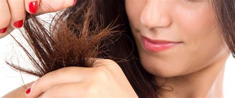 Rambut bercabang