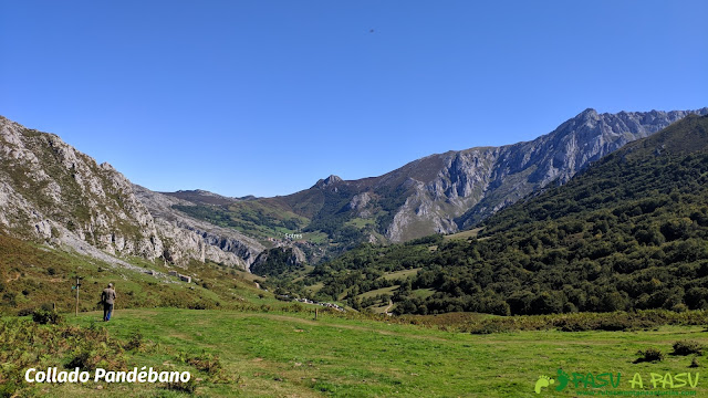 Collado Pandébano, Cabrales