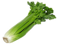 celery - der Sellerie - Apium graveolens