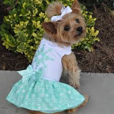 TURQUOISE CRYSTAL DOG DRESS WITH MATCHING LEASH