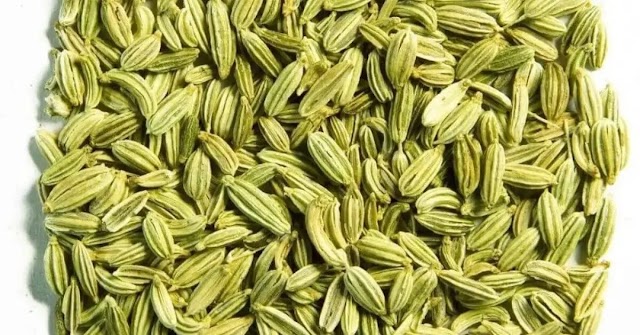 What Does Fennel Taste Like